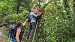 Wanderung zur Pottenburg und Königswarte